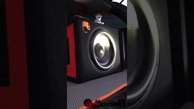 Сабвуфер DL Audio Piranha 15A Black V.2 в БМВ х5 - Я Твой Багажник Шатал .))