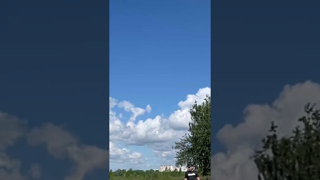 Воздушный змей Butterfly от Paul Guenther (Германия)