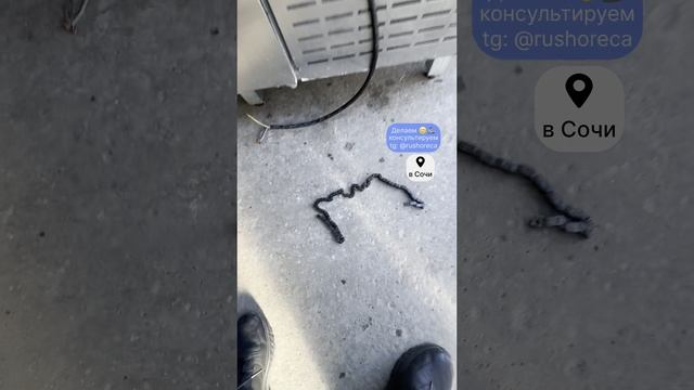 Ремонт тестораскаточной машины - тестораскатки Fimar 🇮🇹 растянулась цепь. Делаем 😊🦾