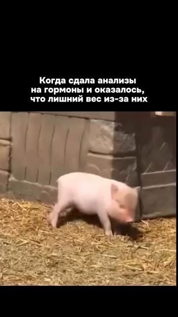 Отправь это своей «счастливой» подружке, пусть увидит себя со стороны)