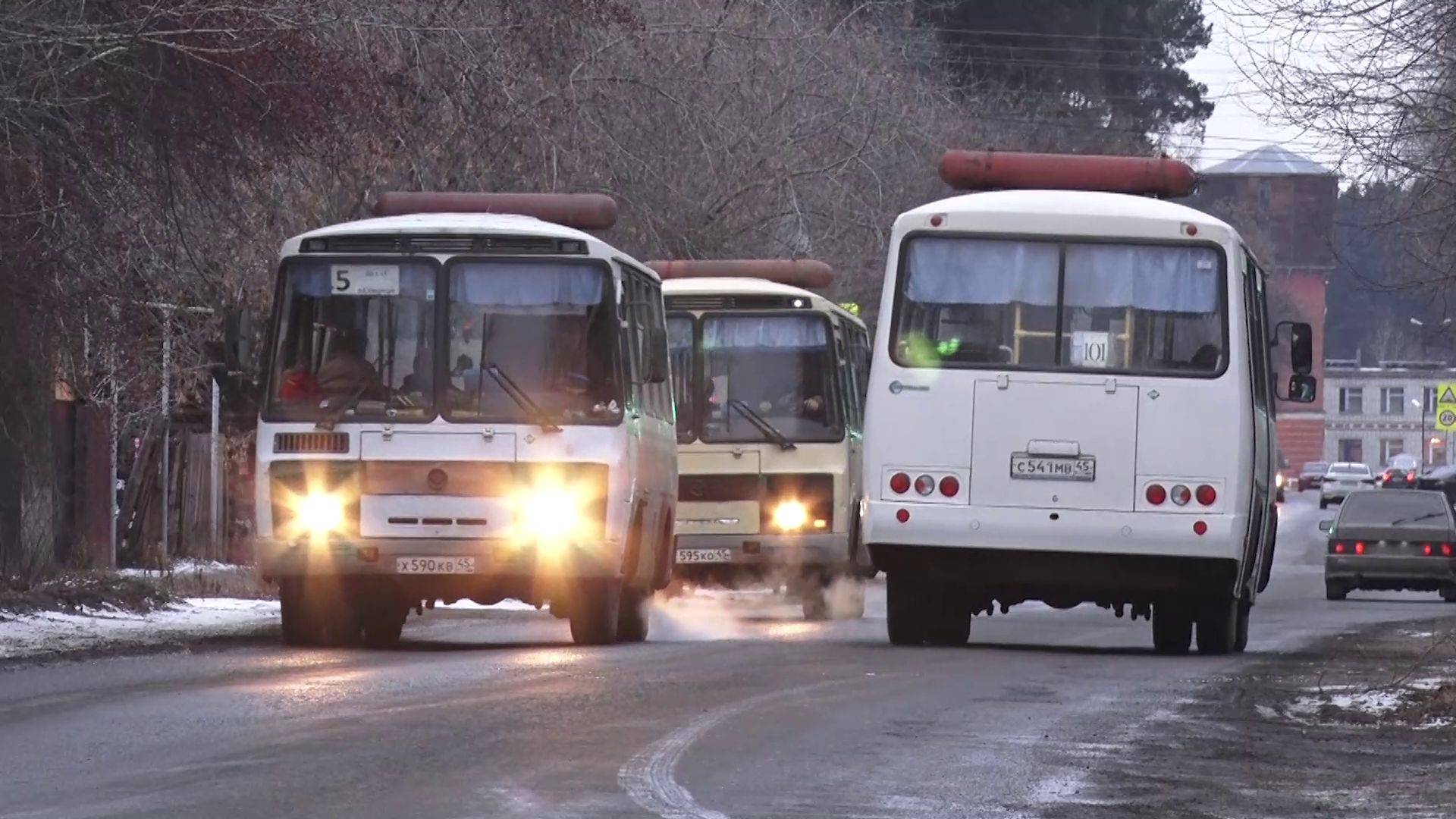 Пассажирский транспорт: новые автобусы и кадры (2025-01-20)