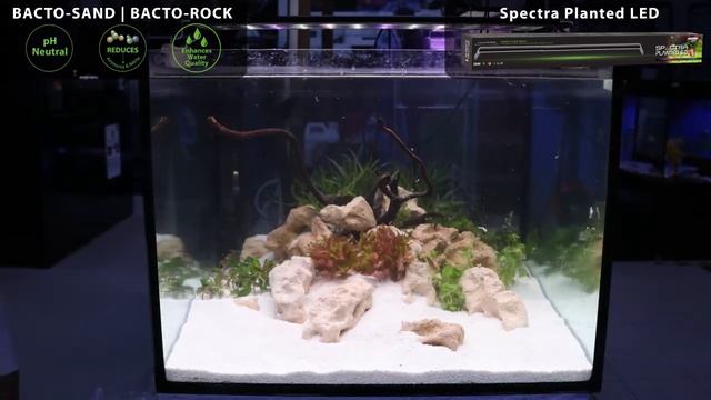 OF® 3DM BACTO-Rock & Sand Fish Tank Set Up With AquaZonic® Spectra Planted LED