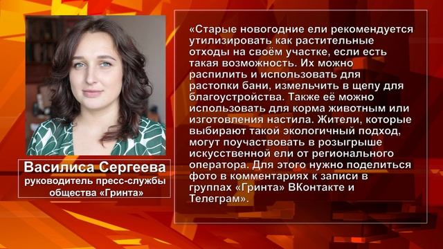 Утилизация елей