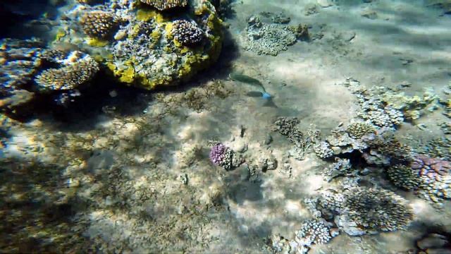 Egypt Underwater World. November 2022