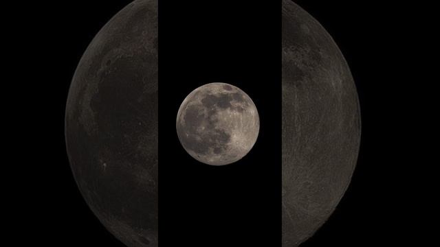 Nasheed 65