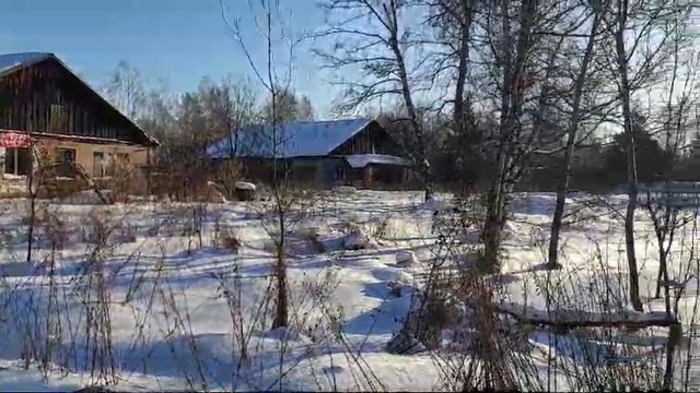 WhatsApp Video 2025-01-14 at 15.44.23