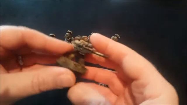 Death Guard - Part Twelve - Lascannon Heavy Support Squad