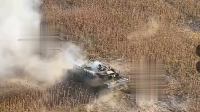 Эпичные кадры поражения немецкого ОБТ Leopard-2A6 российским FPV-дроном