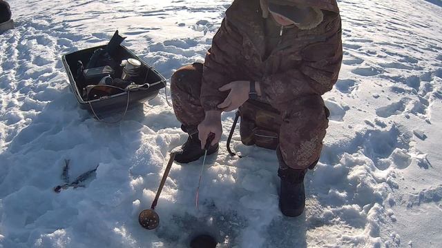 И рыбки половили, и место присмотрели!