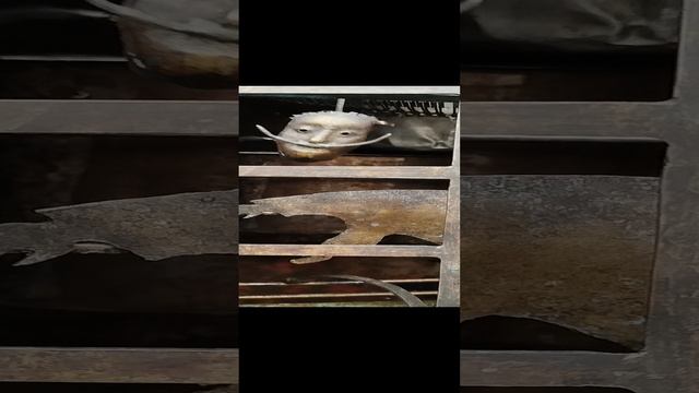 fe5cebd2-27e9-4fda-a464-373e614933fc-1_all_3685.mp4