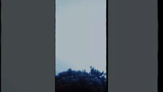 мой вечный трип