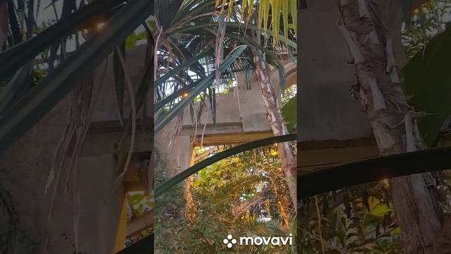 Ребенку понравилось. Вернемся летом.