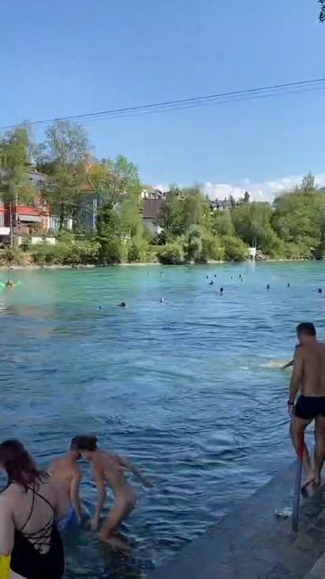 Видео WhatsApp 2025-01-20 в 17.22.34_1ed826f3