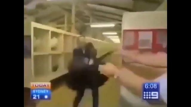 (читай описание) на @user-Soij1657 напал петух