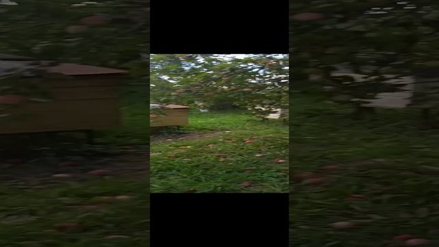 VID_20220902_104450.mp4