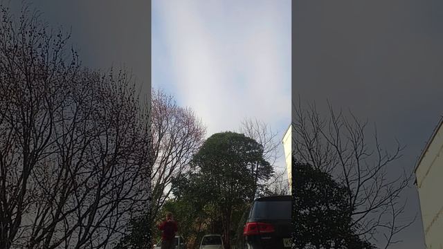 1000001139.mp4