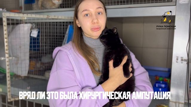 Новая подопечная нашего центра Лиана. Поддержать⬇️