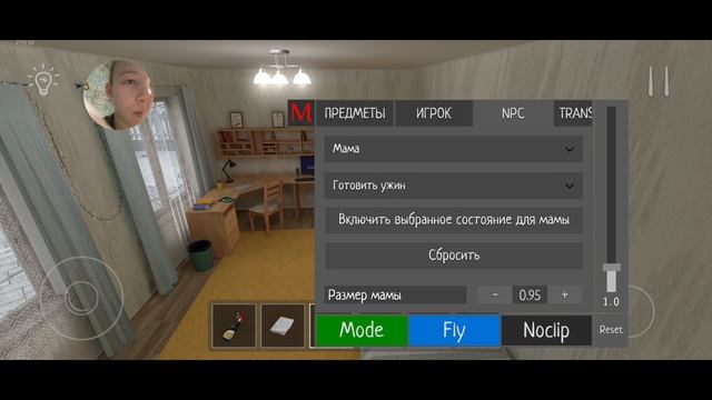 Получил читы в игре скулбой ранэвэй