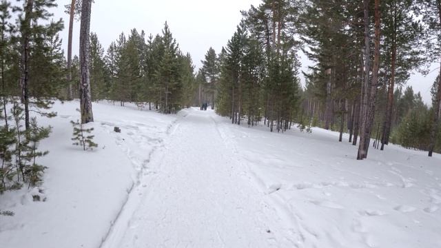 Пешая прогулка с Верхней Березовки до лыжной базы Снежинка.