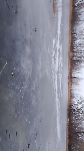 Воронеж январь