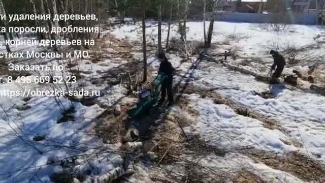 Услуги удаления деревьев, корчёвка пней, корней в Москве и МО. Заказать по т. 8 495 669 52 23