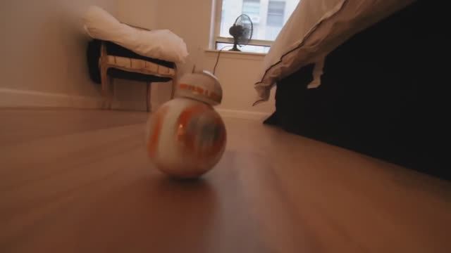 Dog VS. Droid