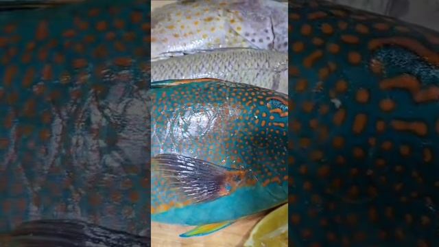 Деликатесы премиум-класса