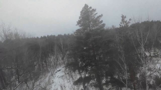 Дамба_ручей_fpv