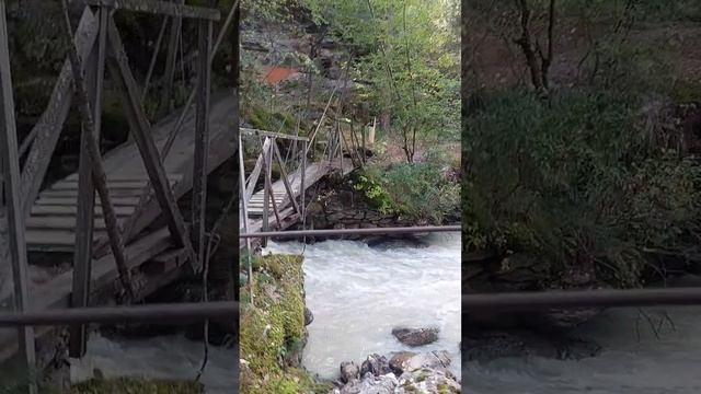 2024'09-01_Эль-08.mp4