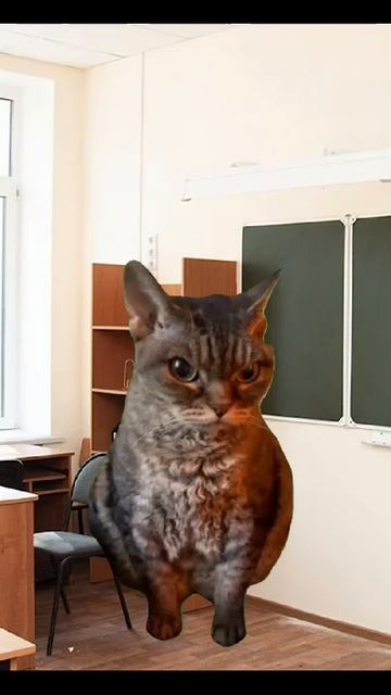 я домой! #школа #котики #смешные видео #рекоменндации