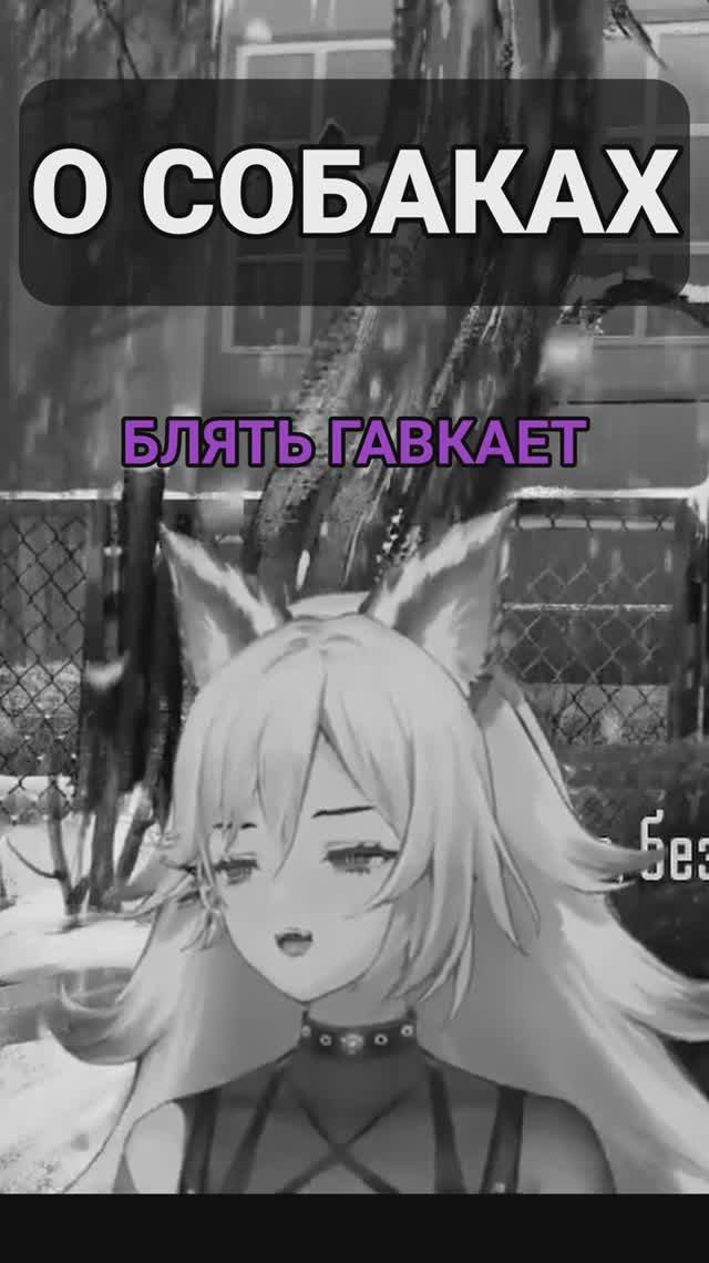Кристина Шерман ЖЁСТКО о СОБАКАХ