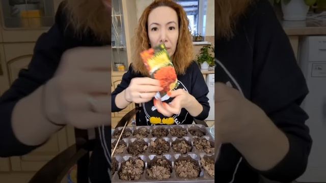 Сеем петунии! 🌺