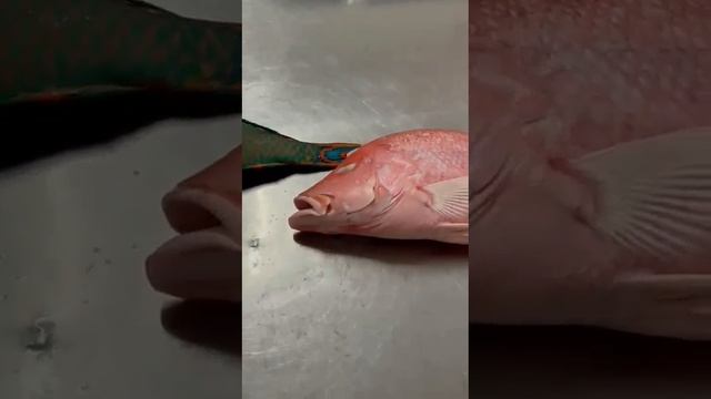 1001526901.mp4