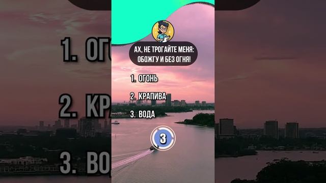 Самый умный №27