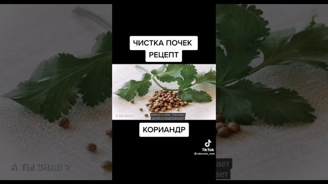 1da00c3816038d73cf09872f77ef4f31_1737351466259