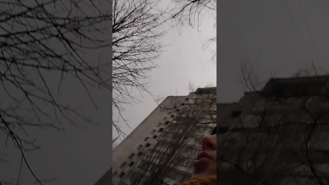 Ротовой-предатель( он оказался опасным и бегите от него)