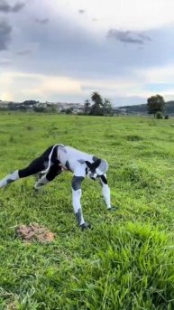 квадробер.mp4