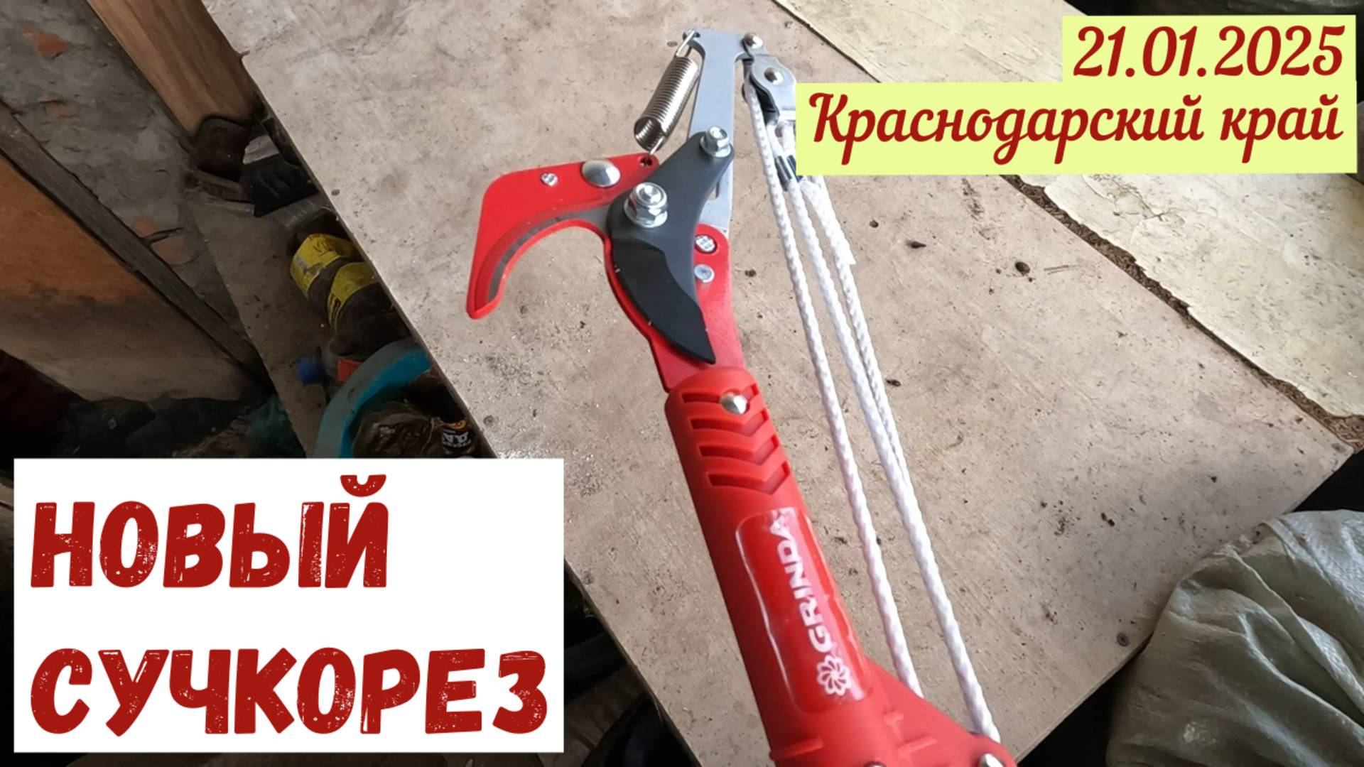 Краснодарский край(21.01.2025). Новый сучкорез: пробуем в деле.
