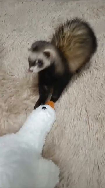 1000163587.mp4