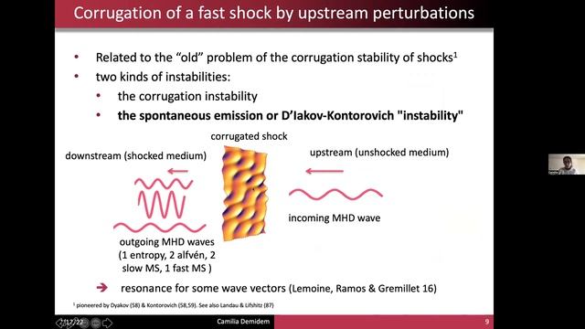 Camilia Demidem: Numerical simulations of corrugated magnetized shocks (CIPS seminar 2022/12/02)