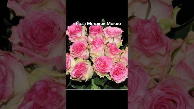 1000379923.mp4