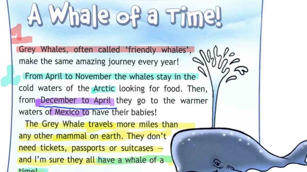 spotlight 4 module 4 стр 63 a whale of a time . спотлайт 4 модуль 4 стр 63. a whale of a time . 4 кл