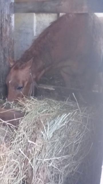 Банди🐴 и Даня🐴