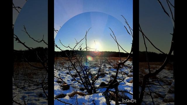 21-01-2025 солнечный рассвет в январе