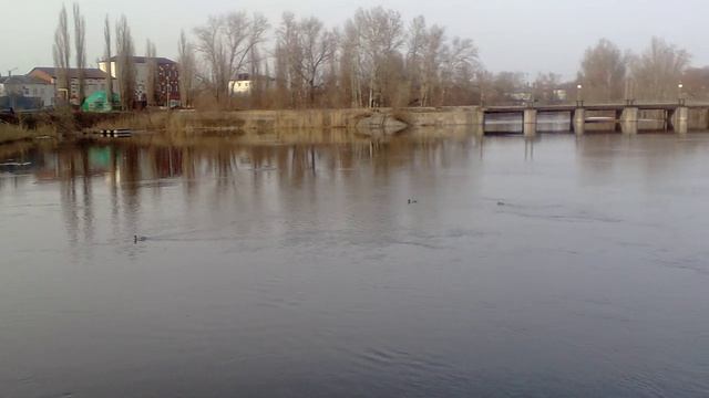 На Цне VID_20240402_170436