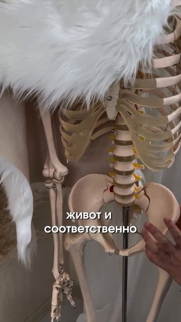 Можно ли носить корсеты❓