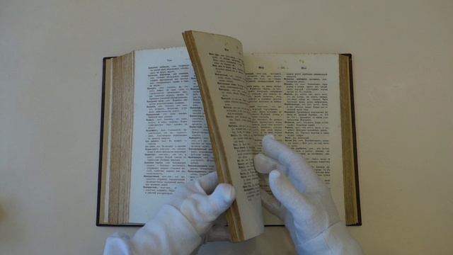 Михельсон А.Д. Объяснительный словарь иностранных слов (Антикварная книга 1891г.)