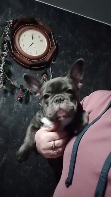 VID20250121050126.mp4