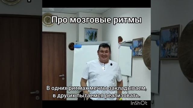 Важно понимать глубокий смысл мозговых ритмов и их последовательность в развитии человека.