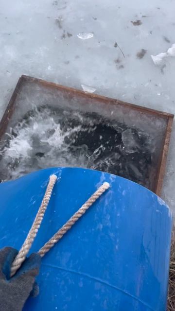 Запуск форели